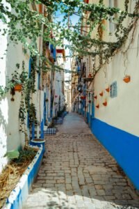 A picturesque narrow street in Annaba, Algeria, with vibrant blue accents and climbing plants.
