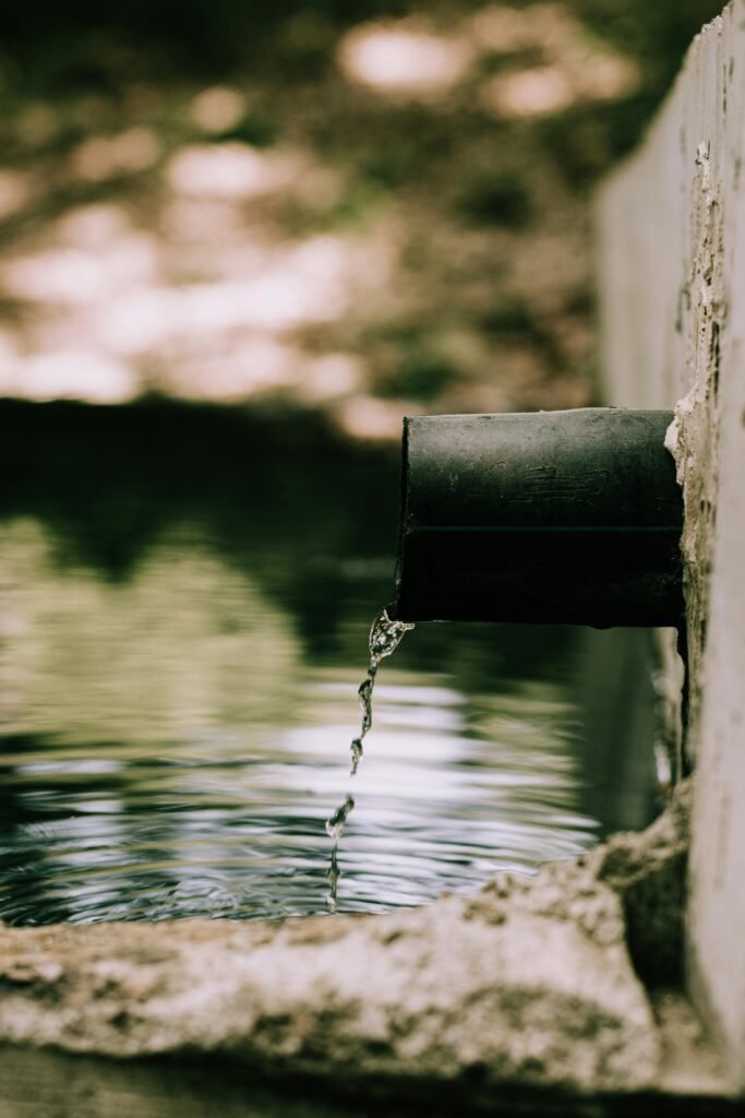 Close-up of water pouring from a pipe into a reflective pond in Akfadou, Algeria, surrounded by nature.