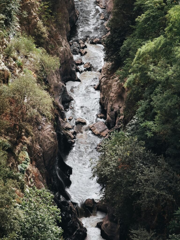 A breathtaking view of a river winding through a lush green ravine in Constantine, Algeria.