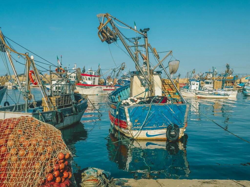 Vibrant fishing boats docked at Bouharoun harbor in Algeria, reflecting on the serene water.