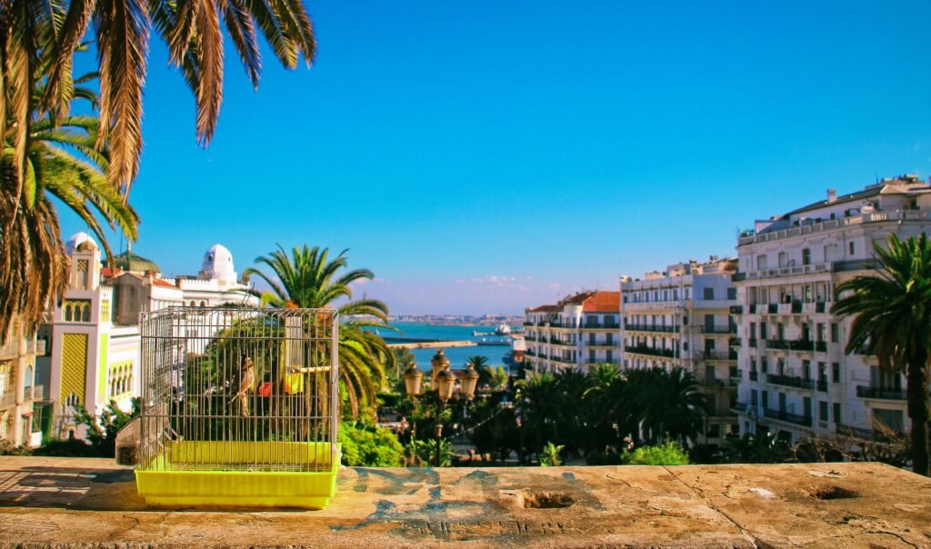 A vibrant scene from Sidi M'Hamed, Algiers showcasing palm trees, architecture, and the sea with a bird cage in the foreground.